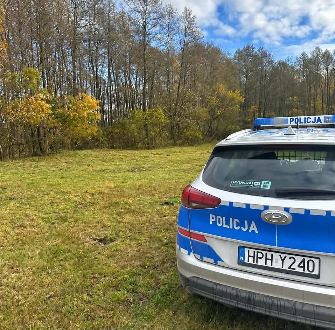 Zasady Bezpiecznego Grzybobrania